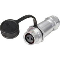 Weipu SF1211/S2 I Ronde connector Koppeling, recht Totaal aantal polen: 2 Serie (ronde connectoren): SF12 1 stuk(s) - thumbnail