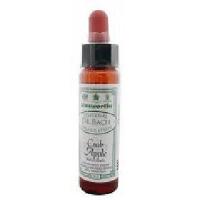 Ainsworths Crab apple Bach 10 Milliliter - thumbnail