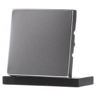 Busch-Jaeger 2CKA001751A2956 Uitschakelaar, Wisselschakelaar, Kruisschakelaar, Knop Afdekking RVS 1 stuk(s) Busch-Jaeger 2CKA001751A2956 Uitschakelaar, Wisselschakelaar, Kruisschakelaar, Knop Afdekking RVS 1 stuk(s)