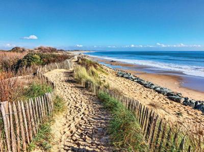 Zeegras 70x50cm Tuinschilderij Customize-it - Customize it