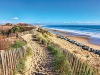 Zeegras 70x50cm Tuinschilderij Customize-it - Customize it - thumbnail