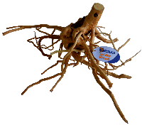 Spiderwood Large aquaria SuperFish - Superfish - thumbnail