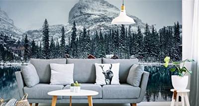 Fotobehang - meer O'Hara Canada, premium print, inclusief behanglijm