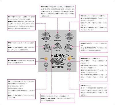 Meris Hedra 3-Voice Rhythmic Pitch Shifter effectpedaal