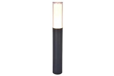 Staande buitenlamp rgb smart &apos;Dropa&apos; bluetooth led lamp 59 cm