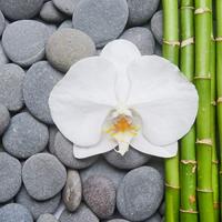 Fotobehang - Bamboe, Orchidee en stenen, Spa, Inspiratie, in 11 maten, inclusief behanglijm - thumbnail