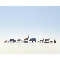 NOCH 15745 H0 Dieren figuren Geverfd, Staand - thumbnail