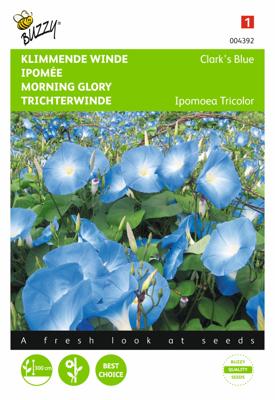 Ipomoea, Klimmende winde Clark's Blue
