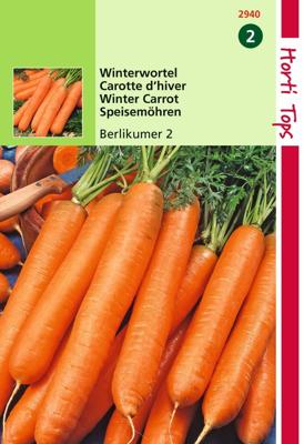 Zaden Wortelen Berlikumer 2 Hortitops - Hortitops