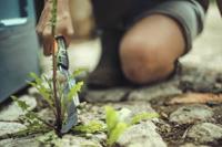 Xact Onkruidmes Fiskars - Fiskars - thumbnail