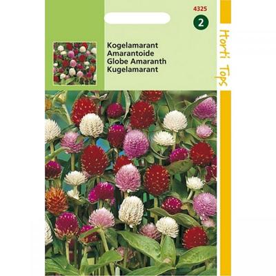 Zaden Gomphrena Kogelamarant gemengd Hortitops - Hortitops