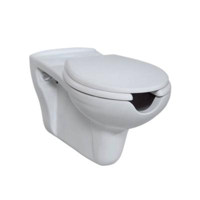Closetzitting BWS Inox Scharnieren & Softclose Wit TBV Mindervalide toilet