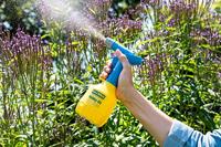 GLORIA Hobby 05 flex Fijnsproeier - 0,5 L - thumbnail