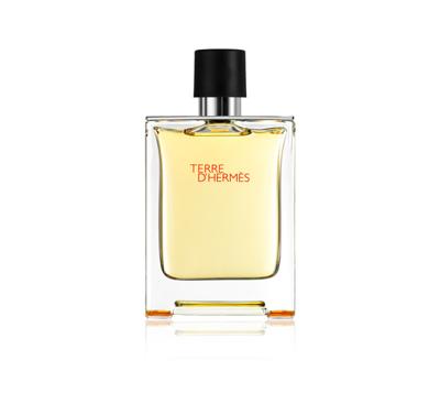 Hermès - Hermes Terre D&apos;Hermes Eau de toilette Spray 100 ml Heren