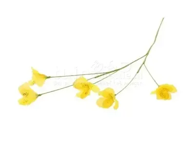 Decoratietak Lisianthus 63cm Geel