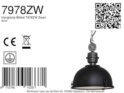 Steinhauer HanglampBikkel industrieel zwart - 7978ZW