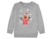 Jongens sweater met lange mouwen (110/116, Grijs) - thumbnail