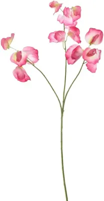 Pure Royal kunsttak pronkerwt 66cm beauty Pure Royal kunsttak pronkerwt 66cm beauty