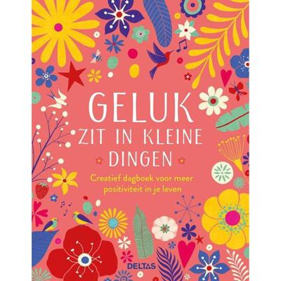 Creatief dagboek Geluk zit in de kleine