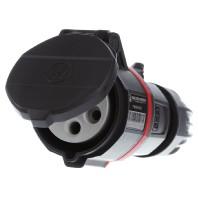 Walther Werke FW311506SK FW311506SK CEE-koppeling 16 A 5-polig 400 V 1 stuk(s) - thumbnail