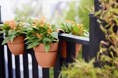 Elho vibia campana flower twin 21 terra Elho vibia campana flower twin 21 terra