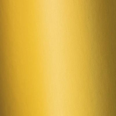 Tonic Studios • mirror card satin a4 x5 gold pearl