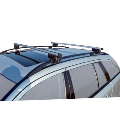 Twinny Load Dakdragerset 124 cm aluminium zilver