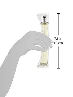 Damesparfum Elizabeth Arden Provocative EDP