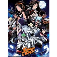 Poster Shaman King - Shaman Fight 38x52cm - thumbnail