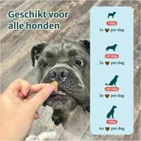 Dogsuppy Anti-Jeuk Probiotica Forte Chewies - thumbnail