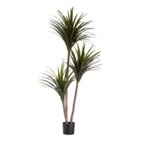 Decoratieve plant Smal mes Plastic IJzerdraad 80 x 200 x 105 cm - thumbnail