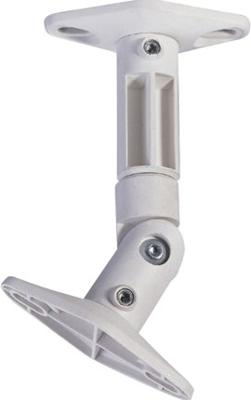 Neomounts SPEAKER-W100 Luidspreker-plafondbeugel Kantelbaar Afstand vloer-plafond (max.): 14.2 cm Wit 1 stuk(s) Neomounts SPEAKER-W100 Luidspreker-plafondbeugel Kantelbaar Afstand vloer-plafond (max.): 14.2 cm Wit 1 stuk(s)