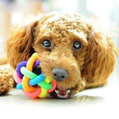 Leuke kleurrijke Weave stijl Bell Ball huisdier speelgoed grootte: L (9 * 9 * 9cm)