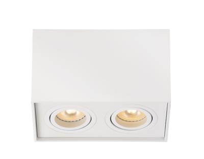 Lucide TUBE - Plafondspot - 2xGU10 - Wit