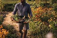 Fiskars Plus Garden Oogstmand - 1062831 - thumbnail