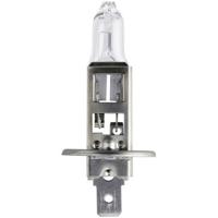 Lampje 12V-55W H1 Philips - thumbnail