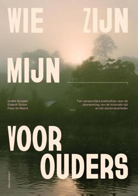 Wie zijn mijn voorouders (Paperback)