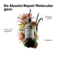 L'Oréal Professionnel Serie Expert Absolut Repair Molecular Shampoo 300ml - thumbnail