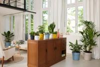 B. for Original Round 25 oker - thumbnail