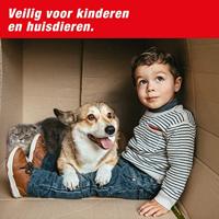 Muizenval Catch Alive SuperCat - thumbnail