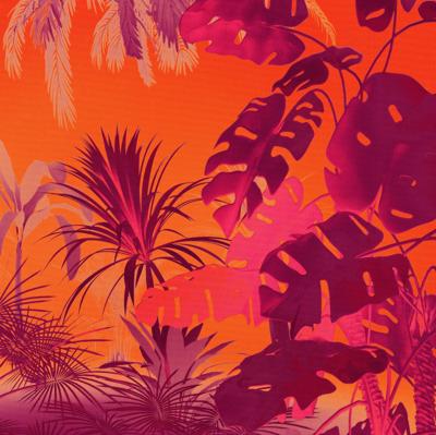 Komar Flair Fotobehang Funky Jungle - FLX5-049