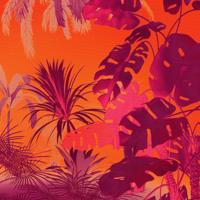Komar Flair Fotobehang Funky Jungle - FLX5-049 - thumbnail