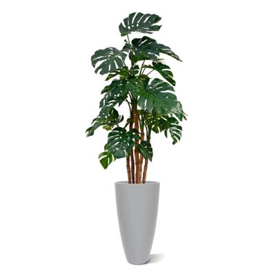 Monstera deluxe x5 kunstplant - 180cm