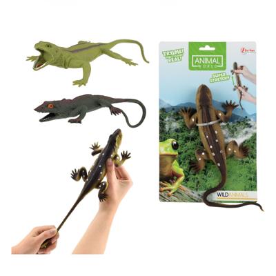 Reptiel levensecht op kaart
