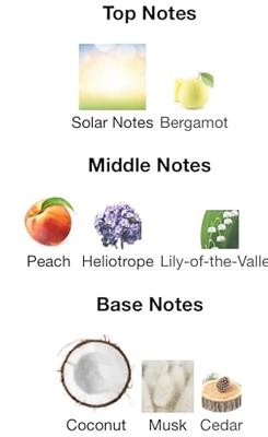 Comme Des Garcons Sunscreen