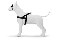 Morso norwegian hondentuig gerecycled gold caviar goud - thumbnail