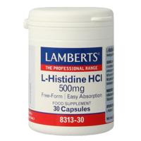 L-Histidine HCl 500 mg - thumbnail