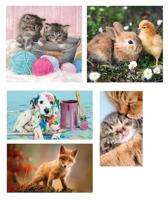 Clementoni 10-in-1 puzzelset dierenvrienden - 18 + 30 + 48 + 60 stukjes - thumbnail