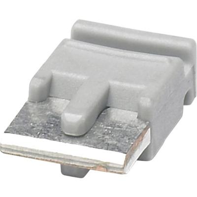 Phoenix Contact FBST 6-PLC GY Kambrug Aantal polen: 2 Grijs 1 stuk(s)