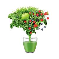 Sage THE NUTRI JUICER COLD Sapcentrifuge Zwart - thumbnail